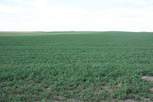 Property photo 44 - LAND AUCTION, 3255+/- Acres offered in 13 Tracts
